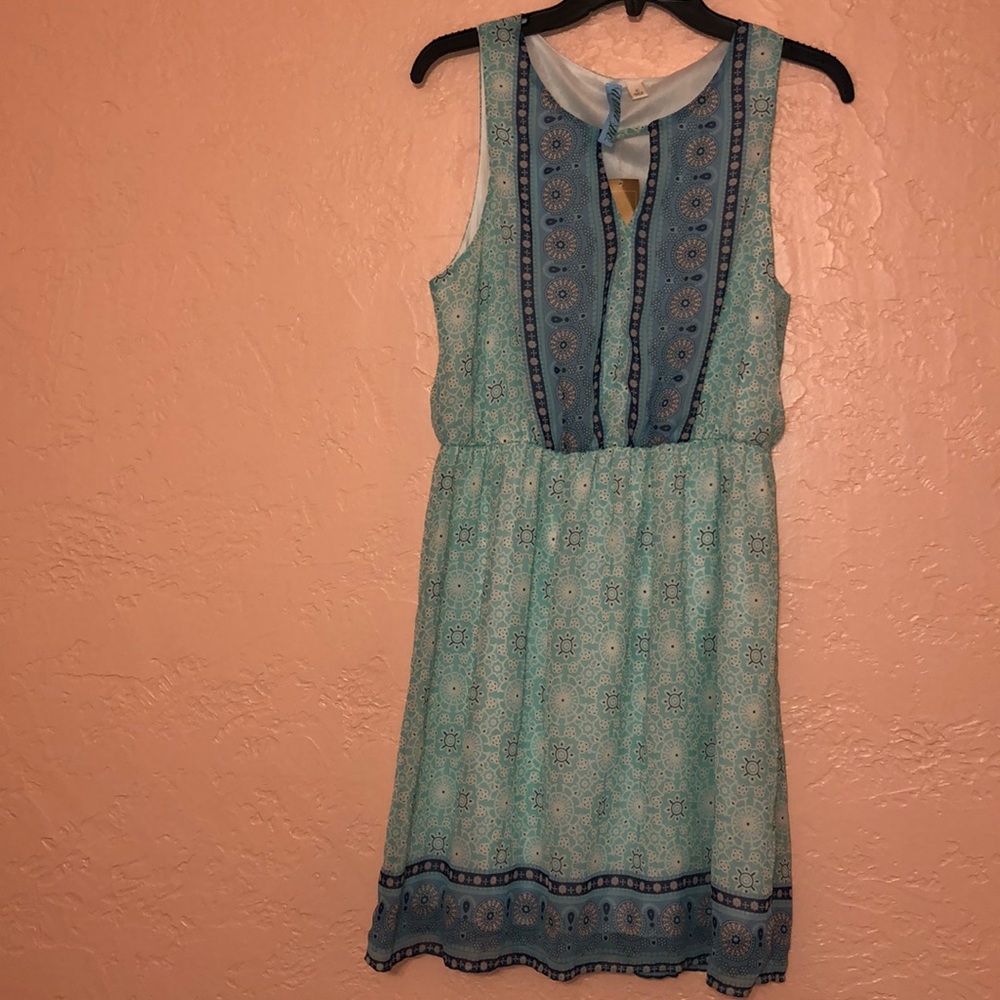 Francesca’s Dress